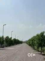 Farmhouse plots near Bhatagaon datrenga,mundra best for investment.