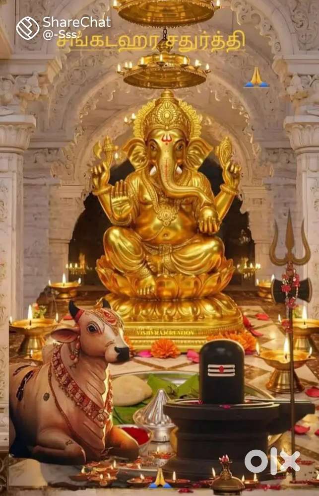 Accountant Required immediate joining