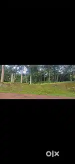 25-50 cent housing plot for sale