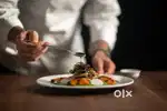 Need chef cook helper