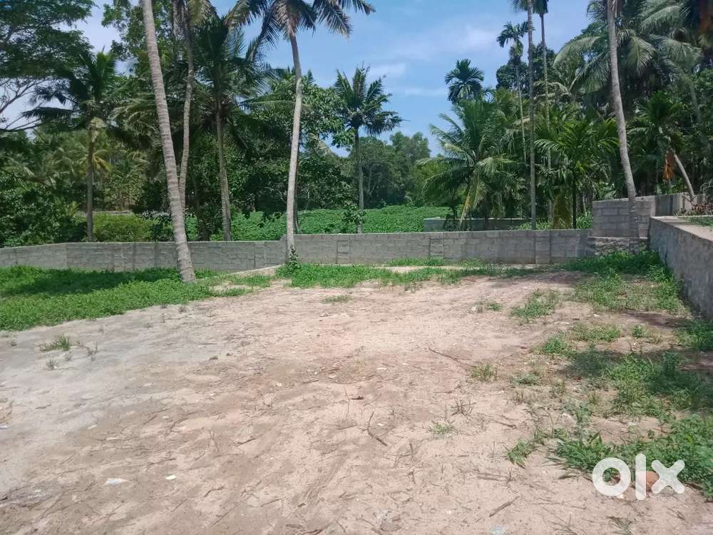 5 cent Plot for sale near Manjadi LP School, Thachottukavu.