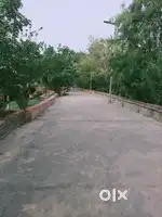 Accountant