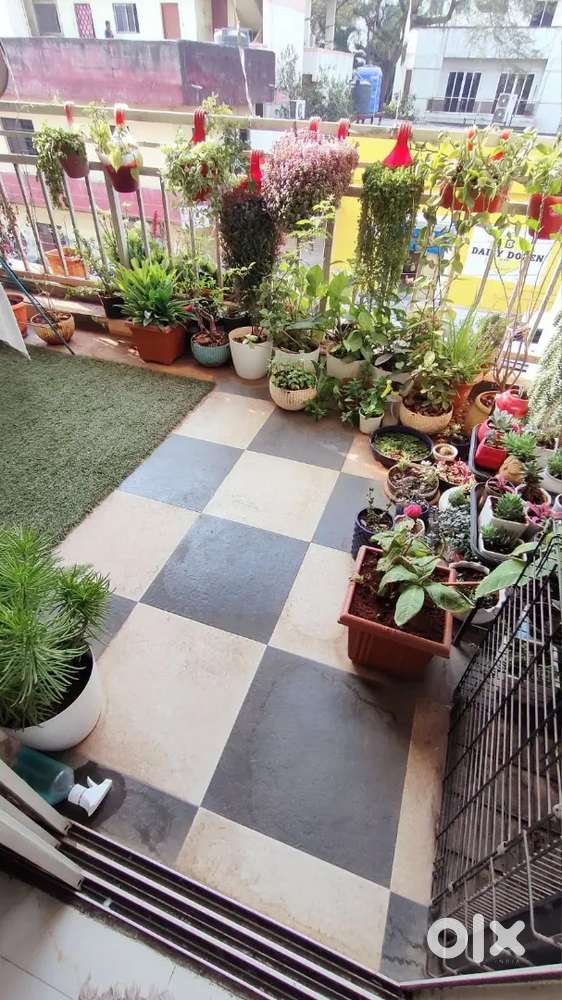 Single occupancy for a FEMALE in Wadgaon Sheri