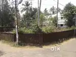 11.5 Cents, 8.50 Lakh/cent, Mavumchuvad Stop, Nellangara, Thrissur