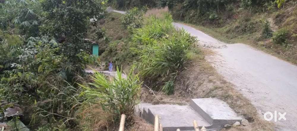 Land for sale upper tareythang near view point