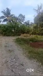 Call Genuine Customers only. Plot@ Chittur Palappallam