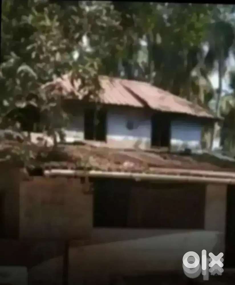 5,1/2 cent Odu Veed Kiralur Mundur Trissur