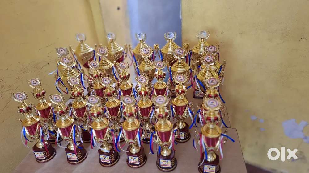 Office Assistant cum coordinator