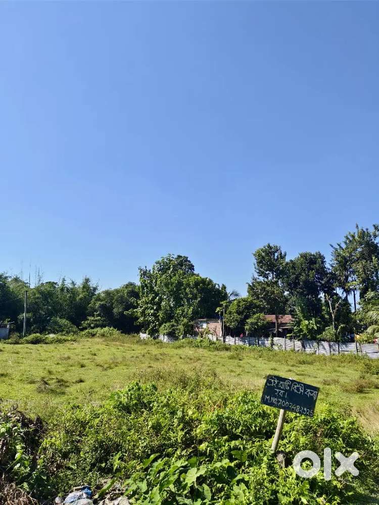 1 bigha NON BTAD Land for sale