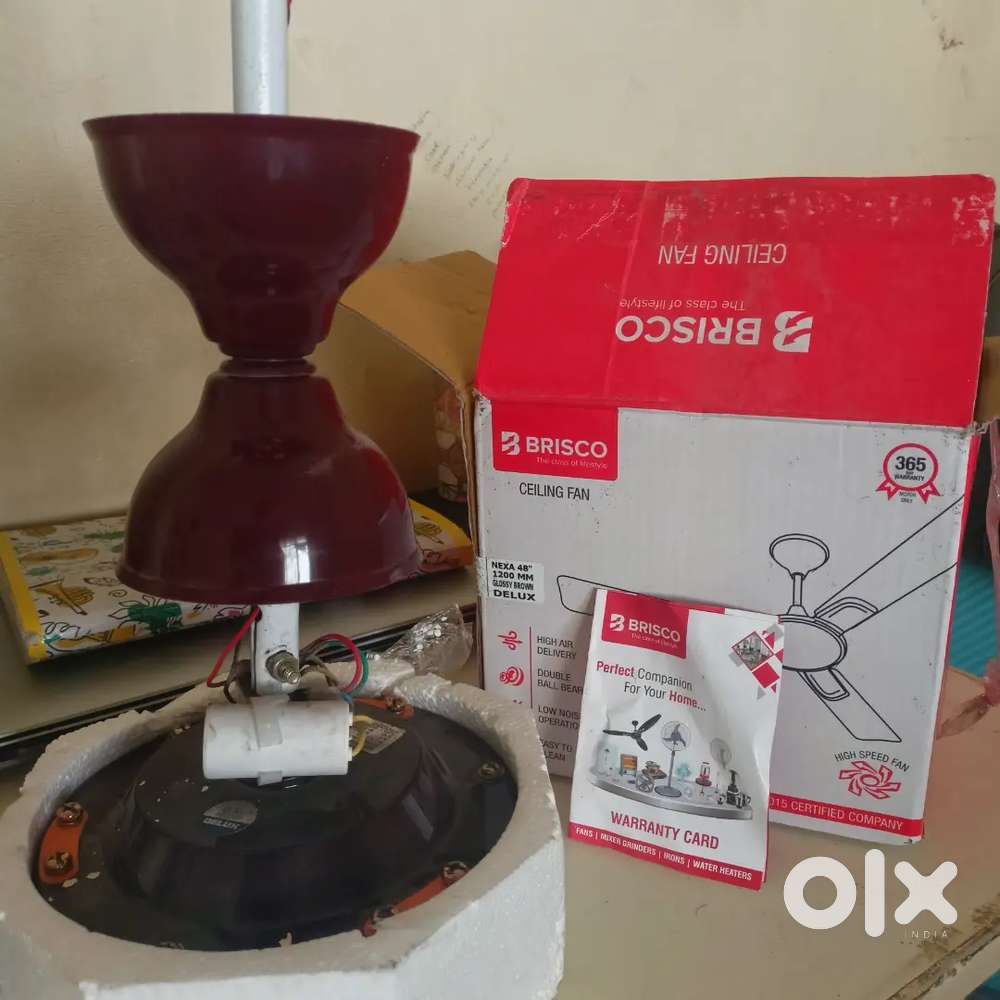 2 Mahine Purana Ceiling Fan – Excellent Condition