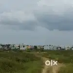 வீட்டு மனை /வெள்ளமடம் டோல்கேட் அருகில்
