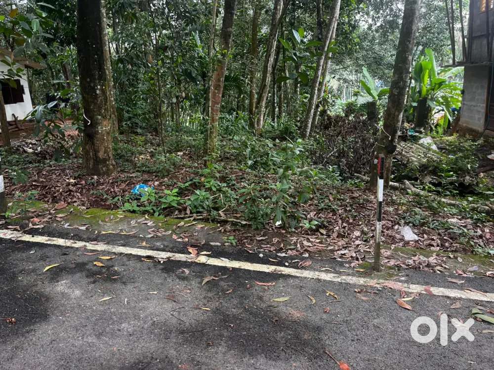 15/per cent 2lakh Road side Bus Root