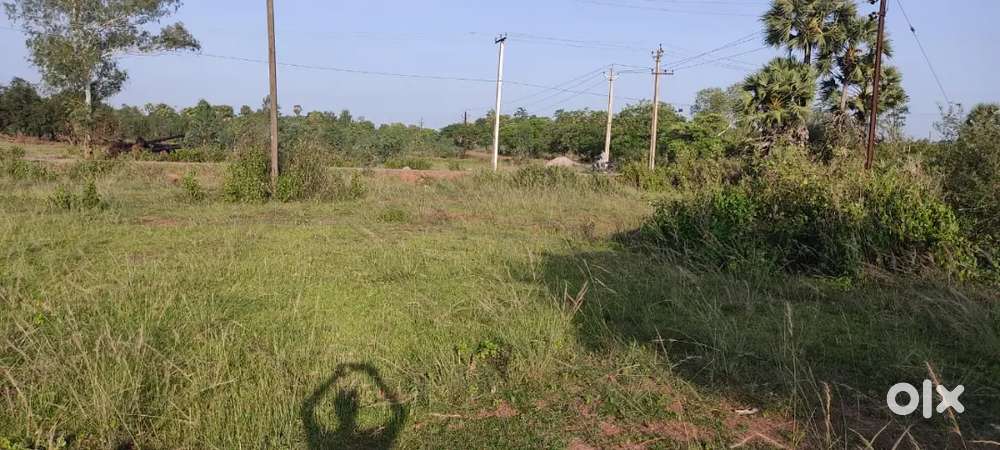 200 Sq Yd Rapid-Appreciation Plot - Rajamahendravaram Expansion Zone