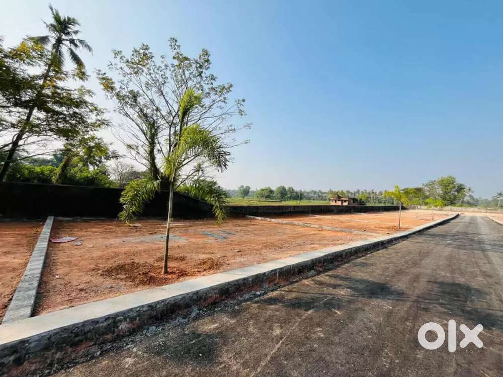3 CENT PLOT LAND FOR SALE AT KAKKANAD THUTHIYOOR