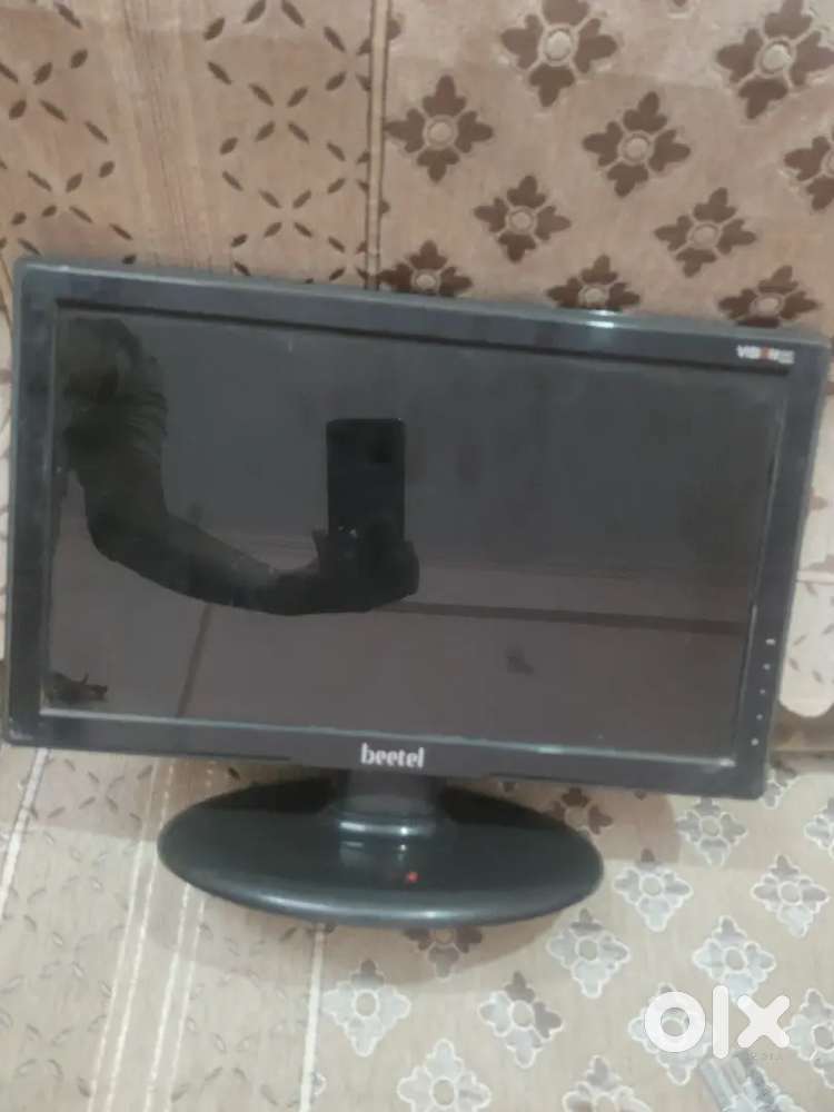 Monitor beetel