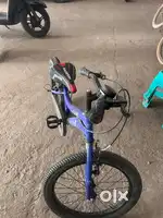 Stryder cycle