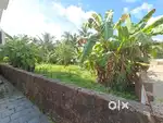 Plot for rent