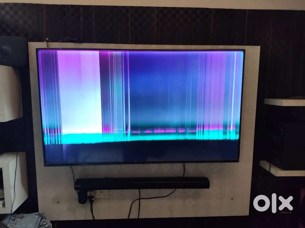 Samsung 55 inch LED TV 2 YEAR OLD. PANEL PROBLEM.