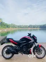 Dominar for daily Rental
