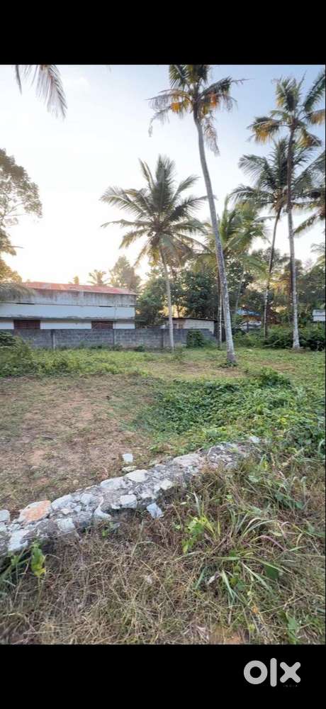 Plot for Sale in Thiruvanthapuram