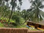 1 Acre Land including farmhouse near Puttur-Uppinangadi main road