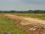 RB Greenland phase 2 (Malatipatpur)
