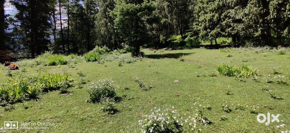 Property for sale
