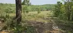 River Touch Agriculture