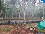 22 cent plot suitable for house, (balussery )