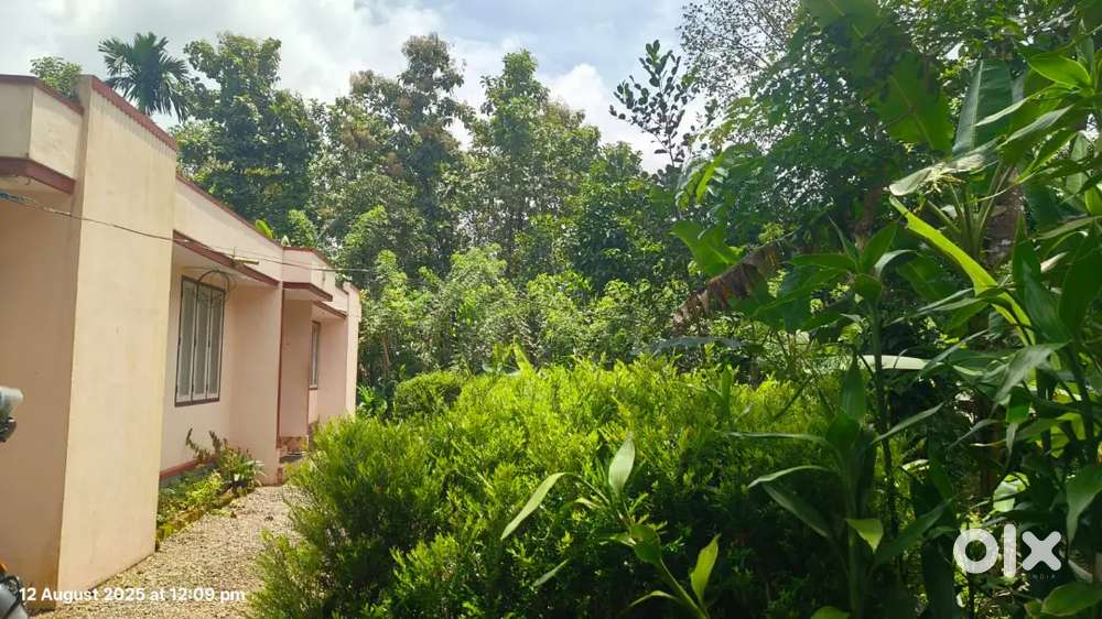 2 ഏക്കർ 70 സെന്റ് സ്ഥലവും വീടും വില്പനയ്ക്ക്