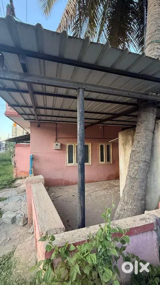 Iron sheets for sale