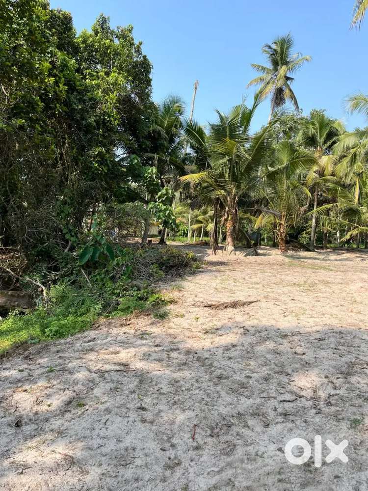 Plot for sale
