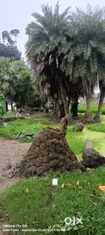1katha plot hai