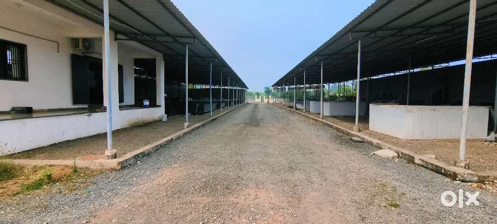 70,000 Square feet  Road touch Land available for RENT