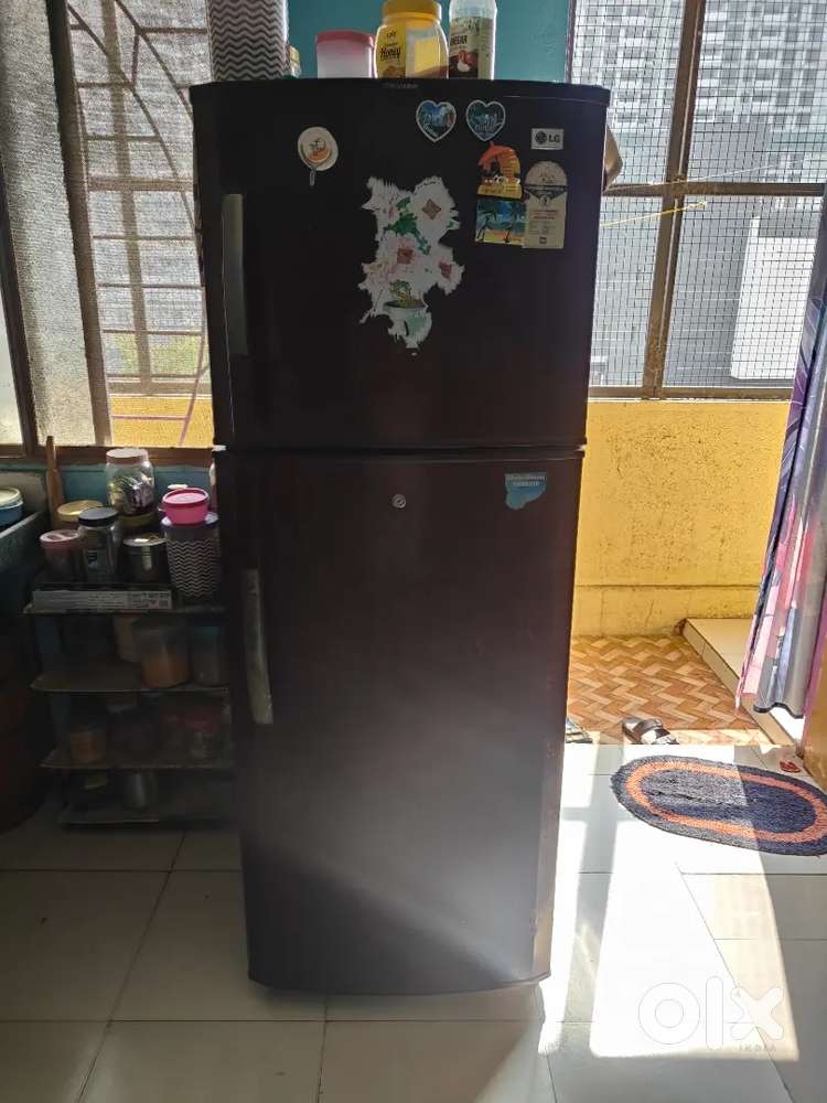 L.g fridge double door