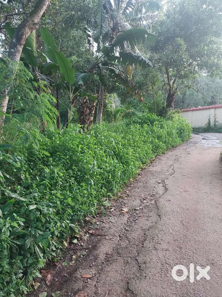 18 cent plot for sale Near Kottiyam police station
