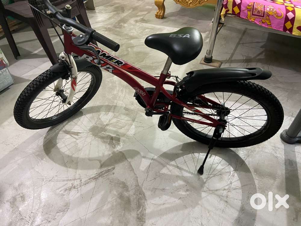 BSA cycle for kids