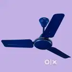 Celling fan
