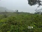 3.5 Acre Land for Sale – Mudigere