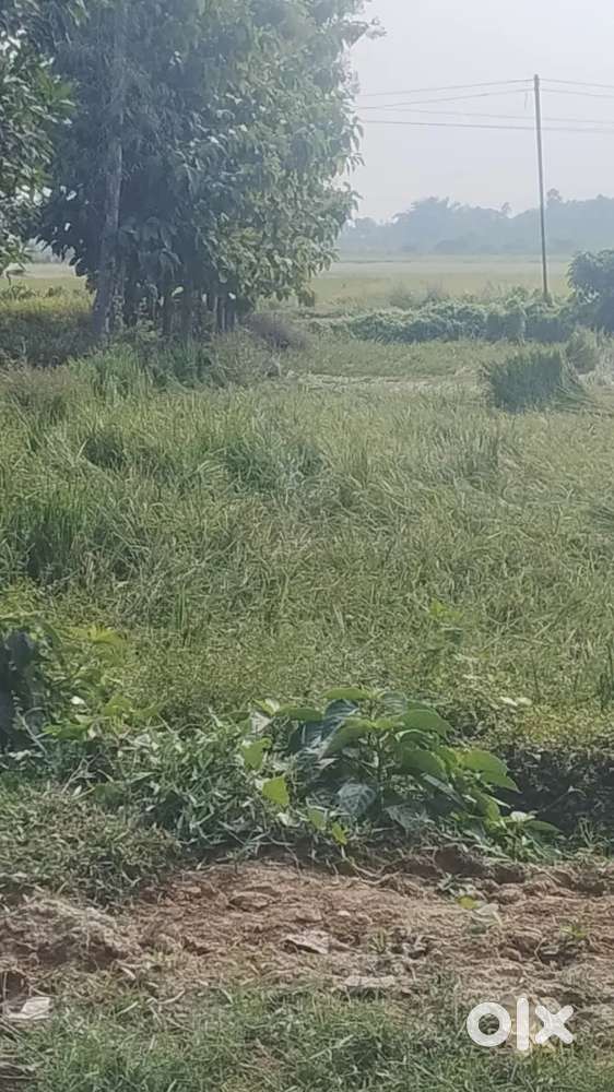 7 Pai jameen hai Jamuni Chaurah pe