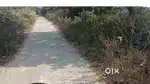 22 डिसमिल जमीन रजिस्ट्री वाला जमीन सेल पर है