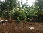 വീട് വക്കാൻ 7സെന്റ് സ്കോയർ സ്ഥലം വില്പനക്ക്