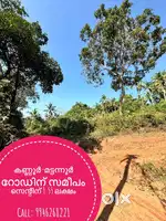 കണ്ണൂർ-മട്ടന്നൂർ റോഡിന് സമീപം സെന്റിന് 1.55 ലക്ഷം