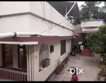 House for rent near panavila temple