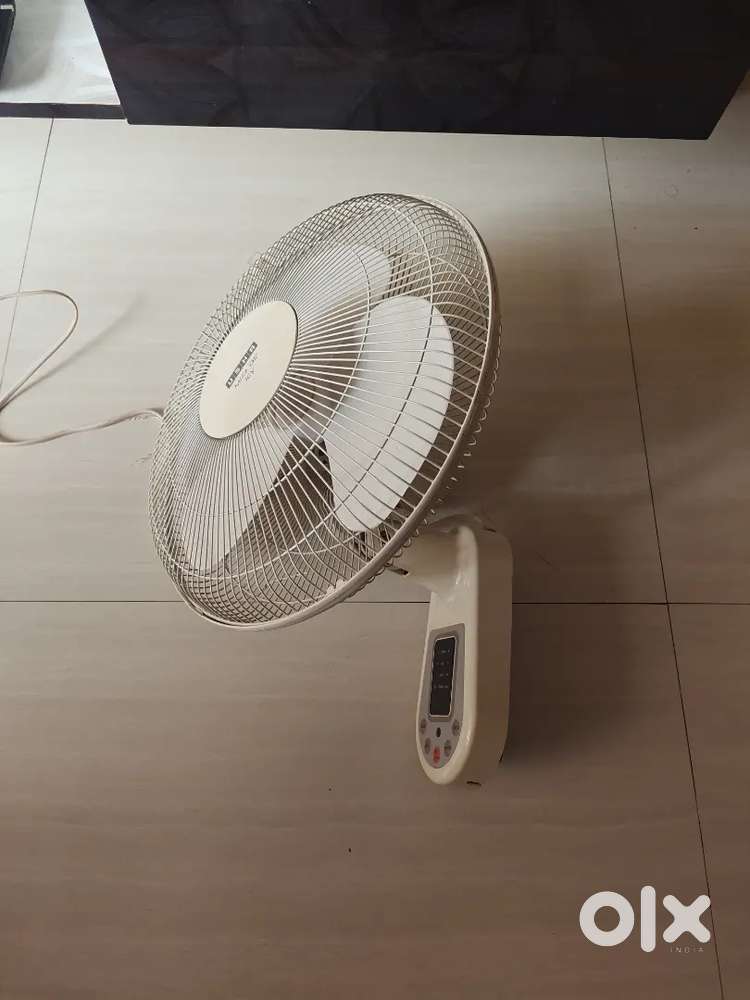 Wall mount fan