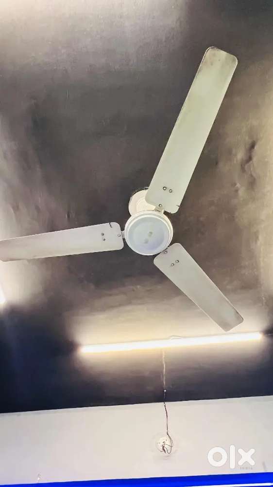 Ceiling fans(havells brand)