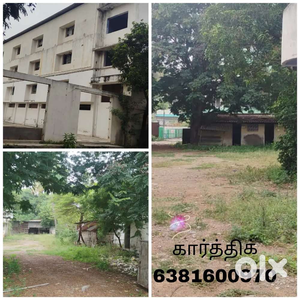 Apartment / Villa / Bungalow Suitable