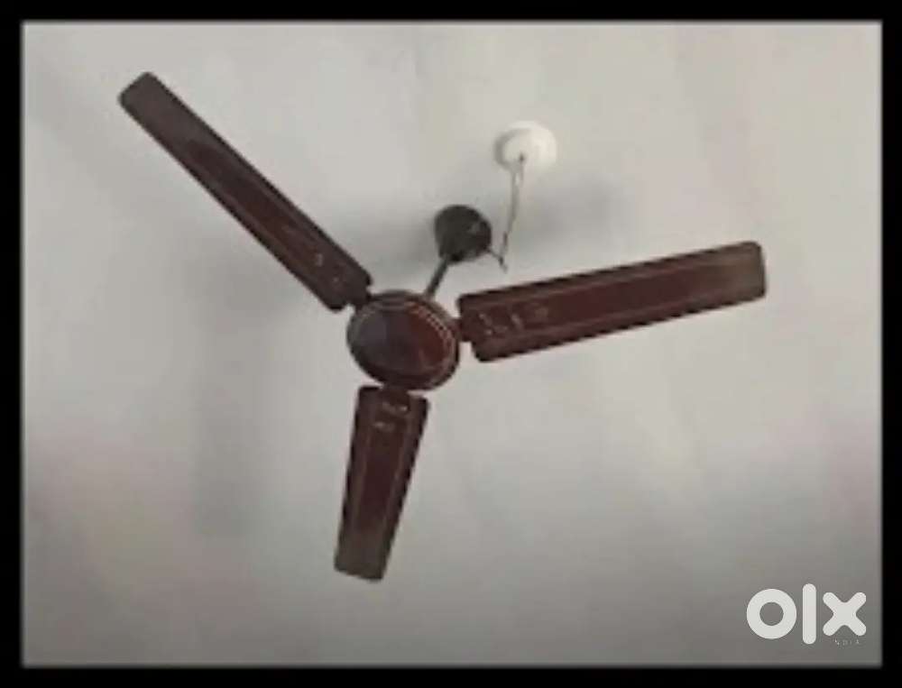 Ceiling fan in working condition