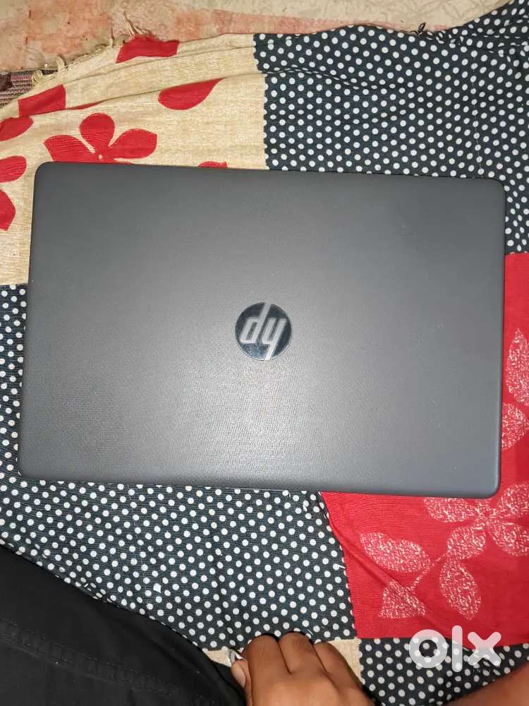 Hp leptop athlon