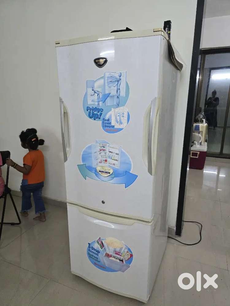 2 door Fridge
